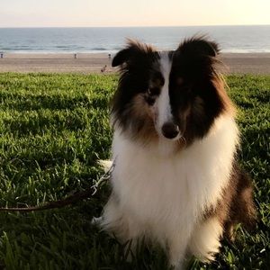 EVERYTHING BEYOND HERE SOLD